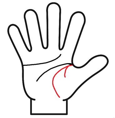 生命線が枝分かれ