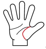 手相　見方　女性