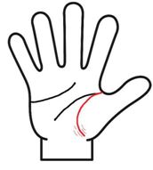 生命線に細かい線