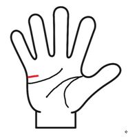 手相　見方　女性