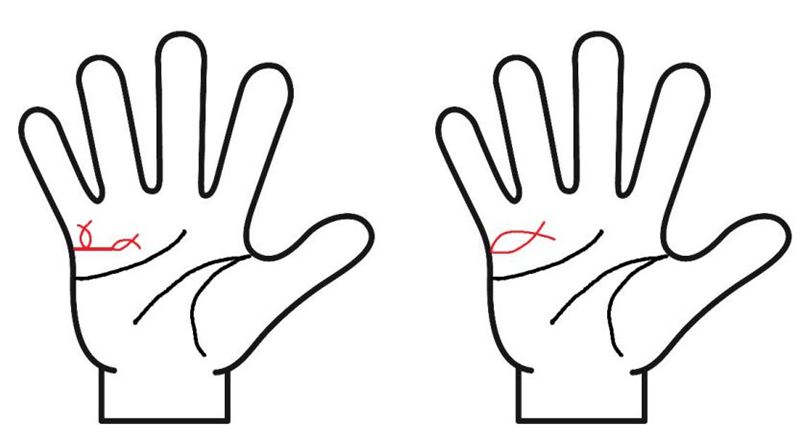 結婚線 フィッシュ