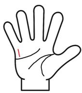 手相　見方　女性