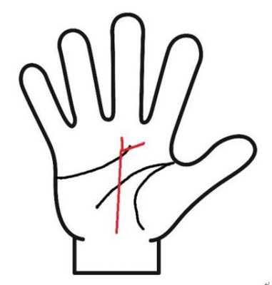 運命線枝分かれ