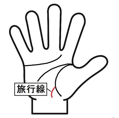 生命線　枝分かれ