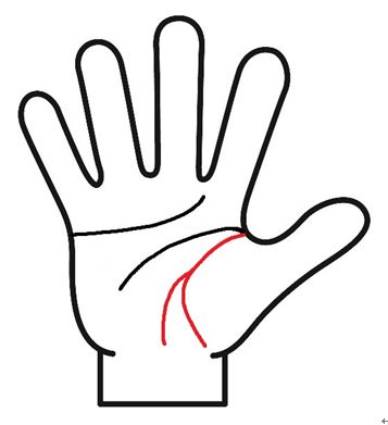 生命線が枝分かれ