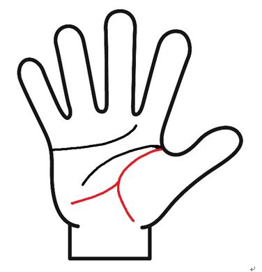 生命線が枝分かれ