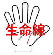 生命線