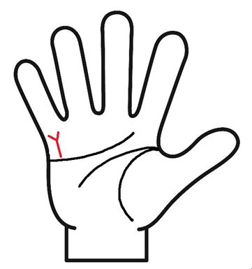 金運線枝分かれ