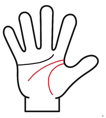 生命線と頭脳線が離れている