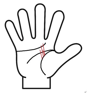 生命線の上に短い線が複数