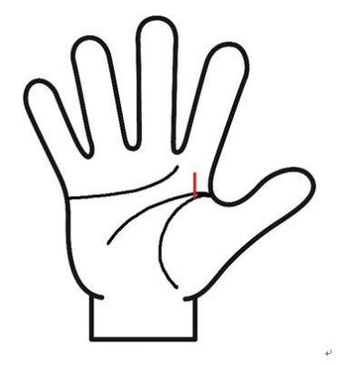 生命線から上に伸びる線