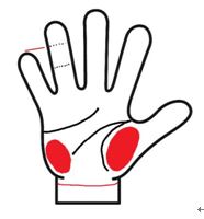 手相　見方　女性