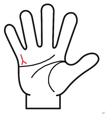 金運線　枝分かれ