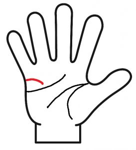 結婚線の先端が下向き