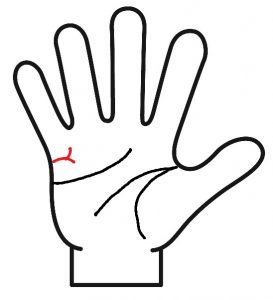 結婚線の先端が二又