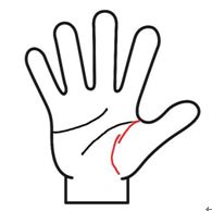 生命線が切れてる