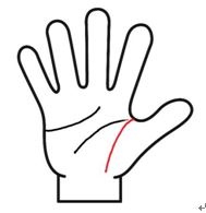 生命線がまっすぐ