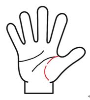 生命線が切れてる