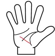 手相　見方　女性