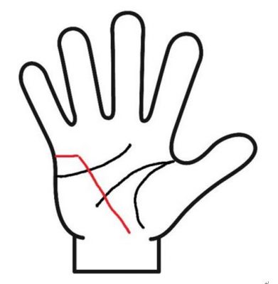 健康線と結婚線