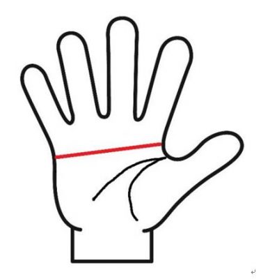 頭脳線とマスカケ線