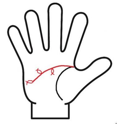 頭脳線のフィッシュ