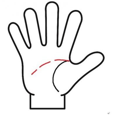 頭脳線が切れてる