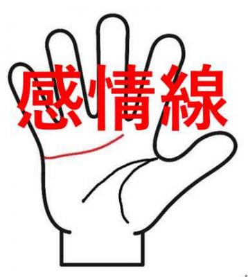 感情線