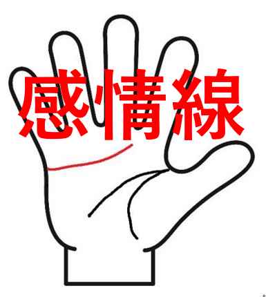 感情線