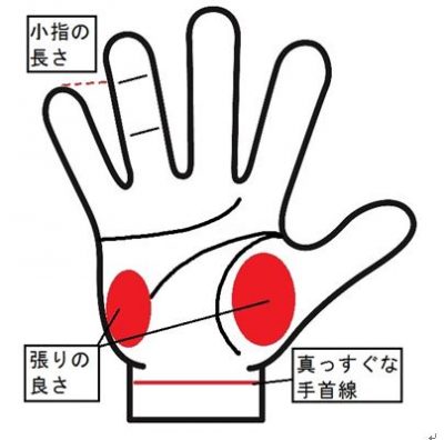 子宝線どこを見る