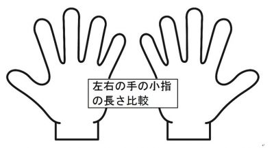 右手左手の子宝線