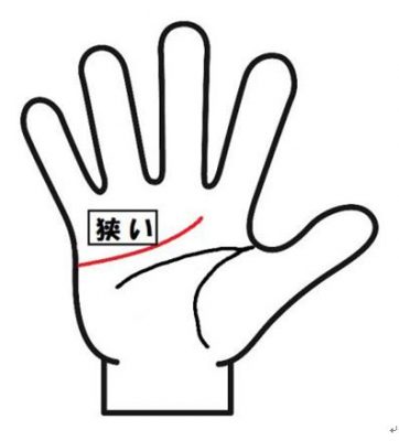 感情線と頭脳線の間が狭い