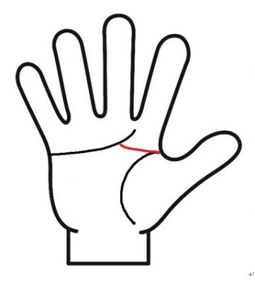 頭脳線と感情線