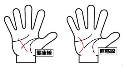 健康線と直感線