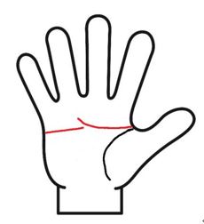 まっすぐな感情線と上向きの頭脳線が重なってるマスカケ線