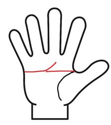 まっすぐな頭脳線と感情線が重なる事でできたマスカケ線