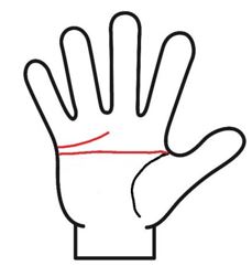 マスカケ線と感情線