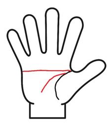 まっすぐなマスカケ線と頭脳線