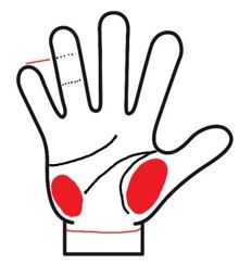 手首の線が横にまっすぐ