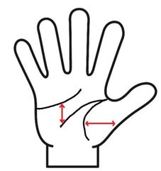 感情線と頭脳線の幅が広い