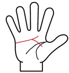 感情線が枝分かれ