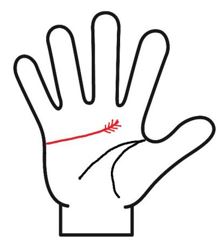 感情線の先端が房状