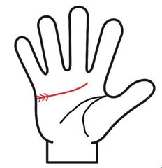 感情線の根元がくさび