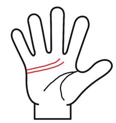 感情線が２本ある