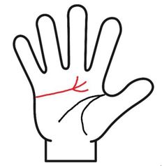 感情線が枝分かれ