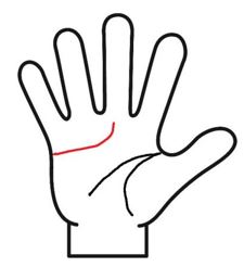 感情線が上に曲がる