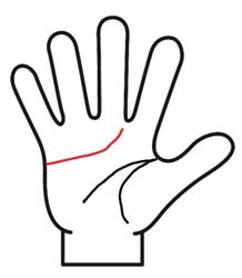 感情線が上に曲がる