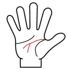 頭脳線が枝別れ