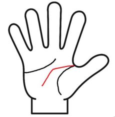 頭脳線が折れ曲がる