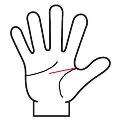 頭脳線が一直線